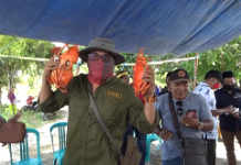 Pulau Penghasil Kepiting Jumbo dan Rumput Laut Tertinggi