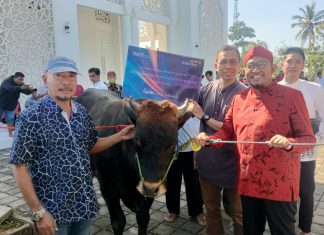 Sambut Idul Adha, MH Said Abdullah Salurkan 98 Hewan Kurban