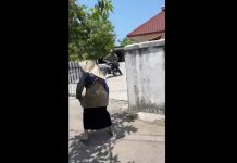 Viral Emak-Emak Nyaris Ditabrak Saat Hadang Maling Motor